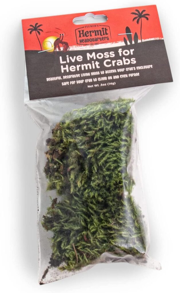 Hermit Crab Supplies - Getting Started Guide - Hermit Crab World